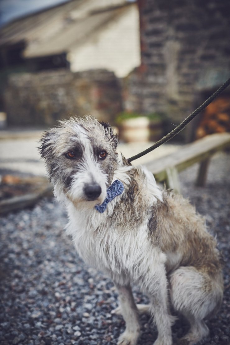 rustic eco wedding at East Soar in devon