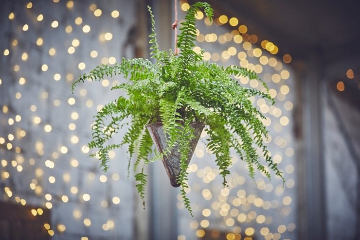 industrial table scape at rustic eco wedding at East Soar in devon