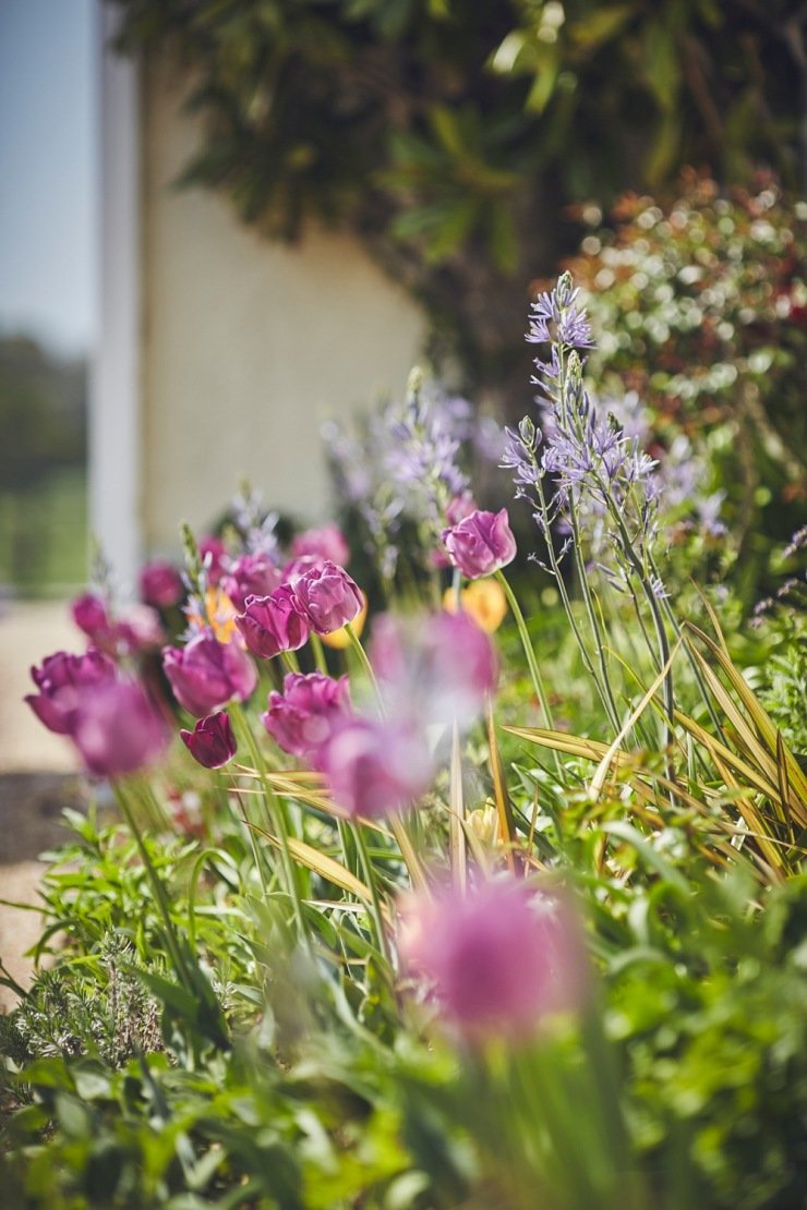 wedding photography at rockbeare manor Devon