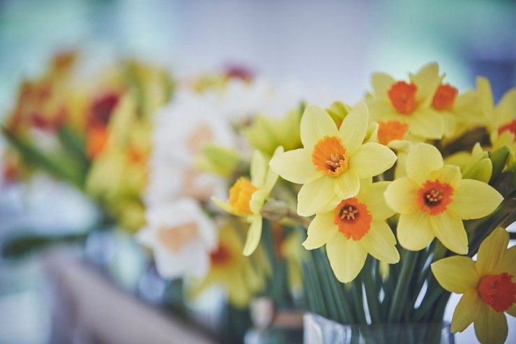 wedding photographers Shilstone House Devon